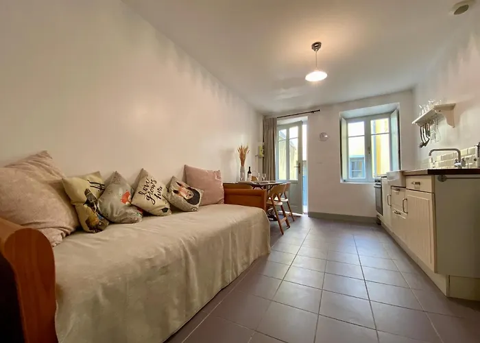 Casa Poliglota - 100m De La Cite Medievale Καρκασόν