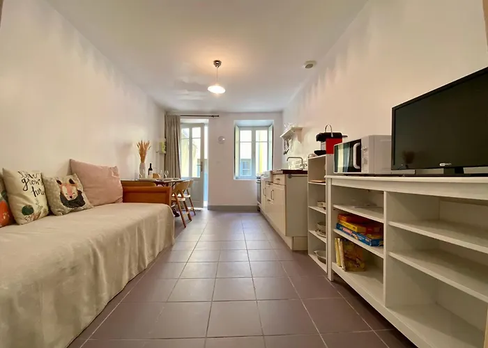 Casa Poliglota - 100m De La Cite Medievale * Καρκασόν